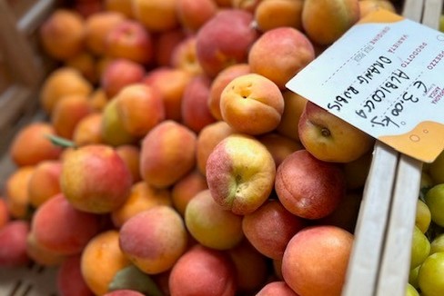 frutta di stagione