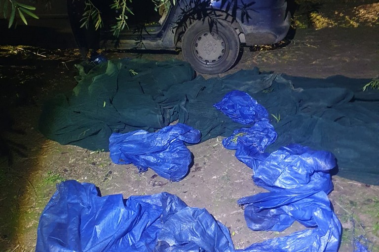 Sventati una serie di furti dalle Guardie Campestri