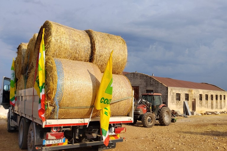 foraggio da aziende agricole e zootecniche