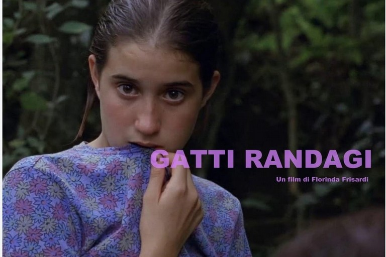 Gatti randagi