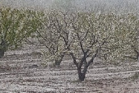 grandinata in Puglia