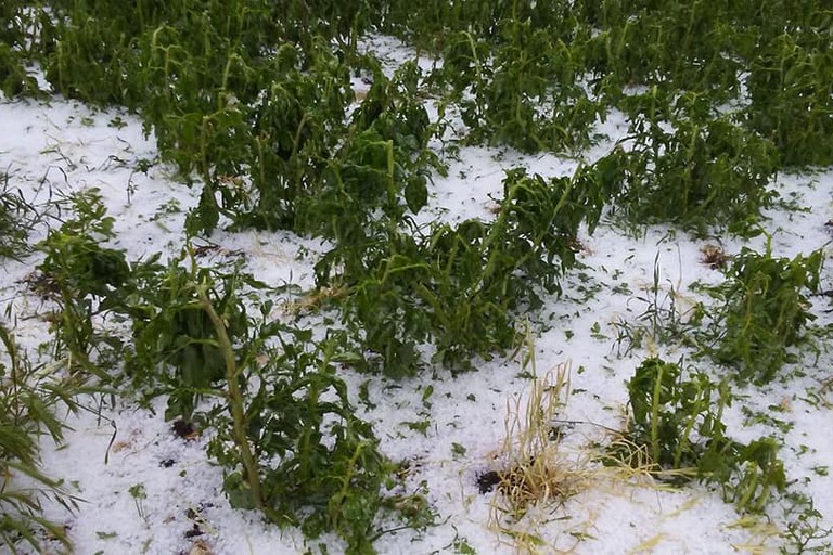 maltempo in Puglia
