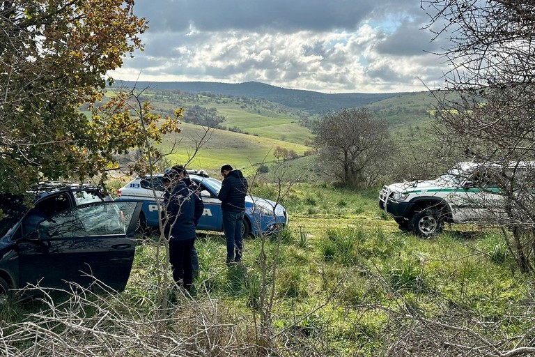 Volkswagen Golf rubata a Trani