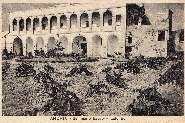 L’industria delle api e del miele nel XVIII secolo in Andria