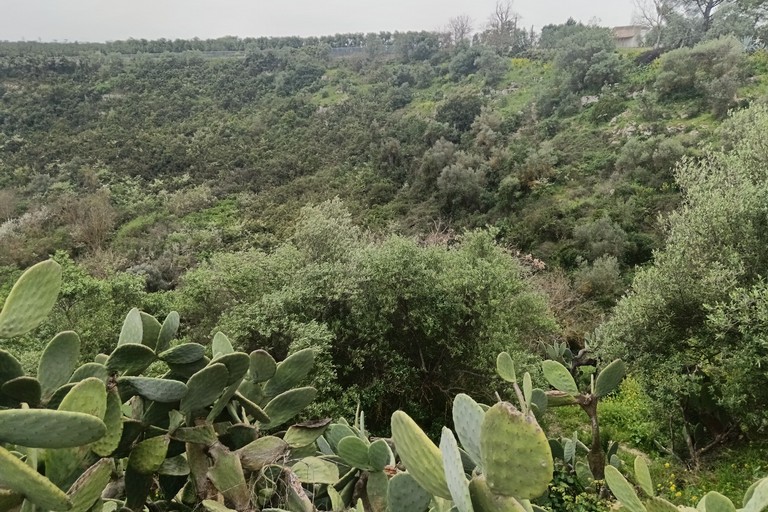 dolina di Gurgo