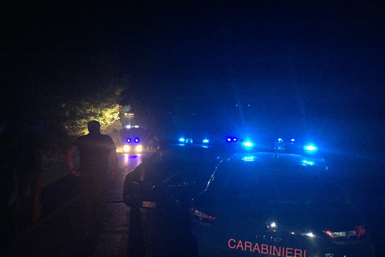 polizia e carabinieri