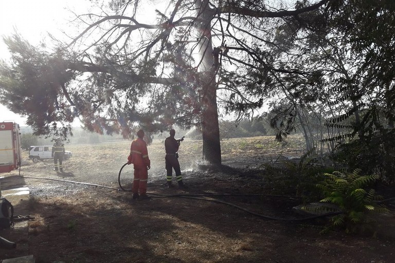 Incendio Lama del carro