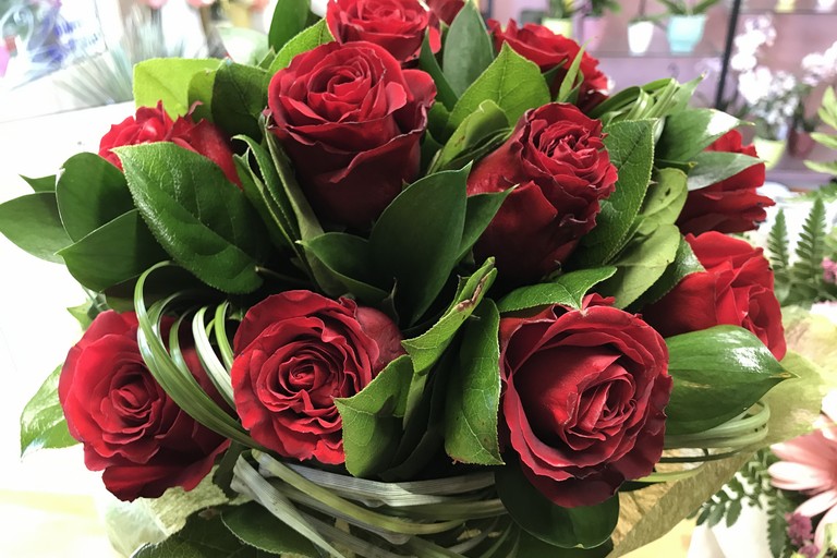 fiori e piante