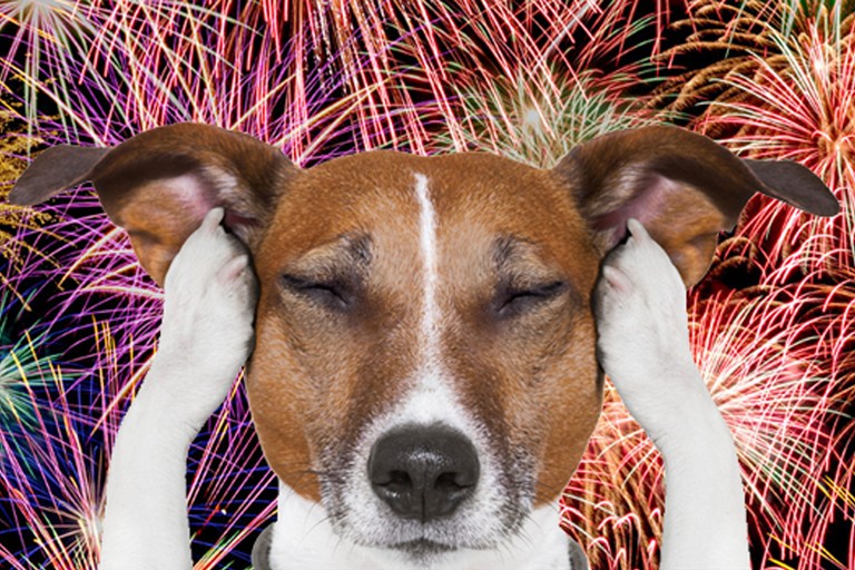 Botti Capodanno