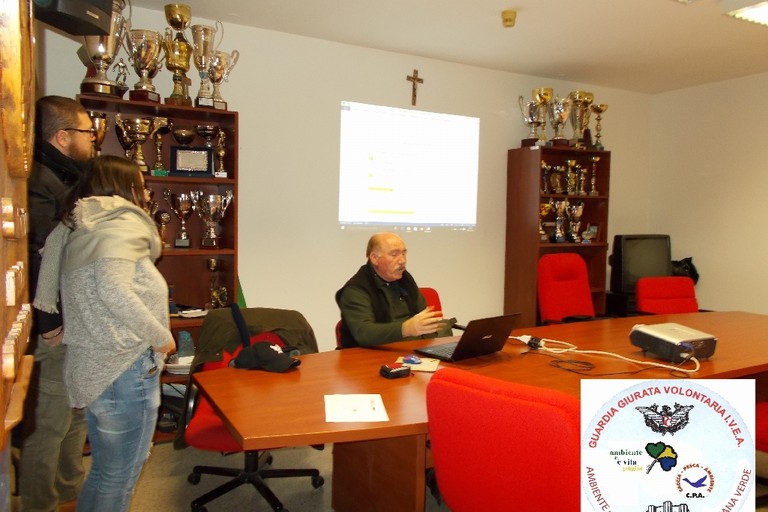 Federiciani