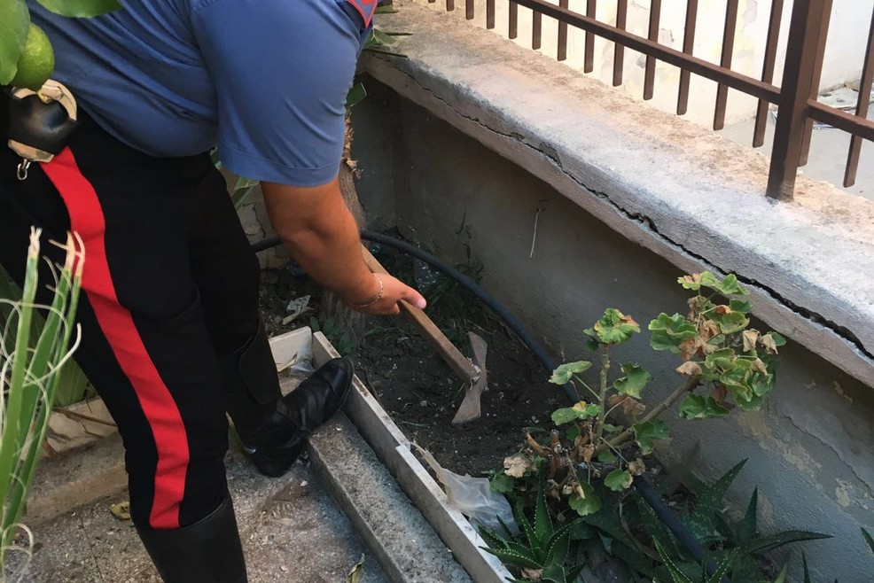 carabinieri scoprono marijuana