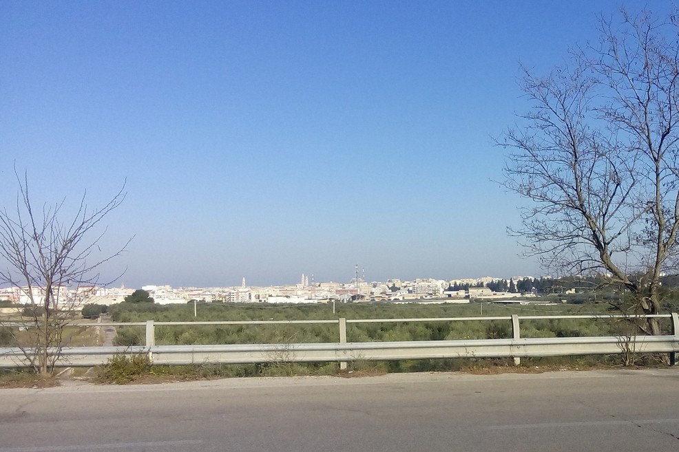 Panorama di Andria. <span>Foto Vincenzo Cassano</span>