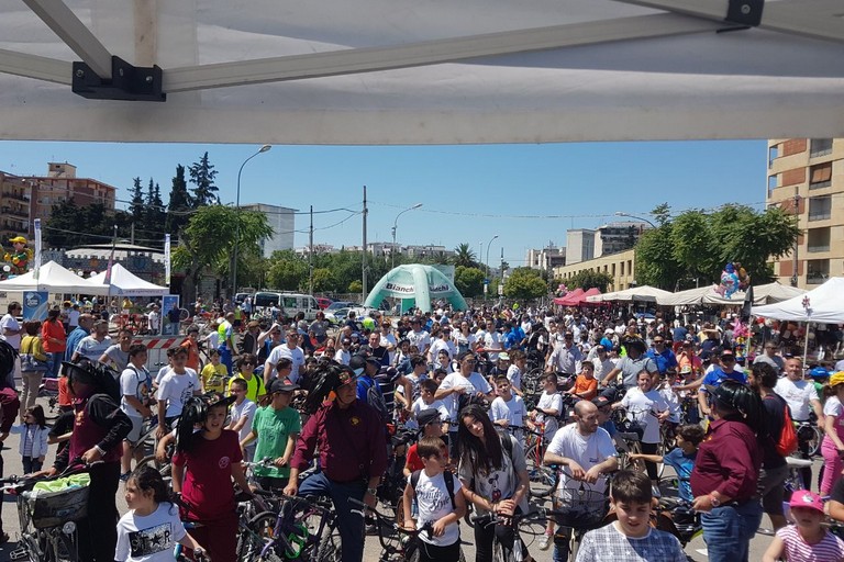“Bimbimbici 2017”