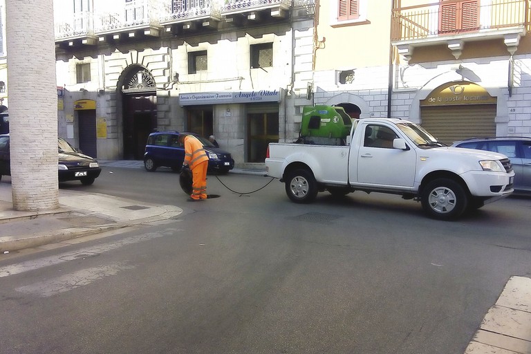disinfestazione e derattizzazione