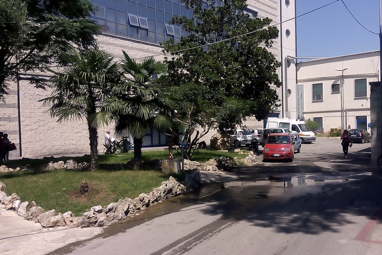 ospedale Lorenzo Bonomo