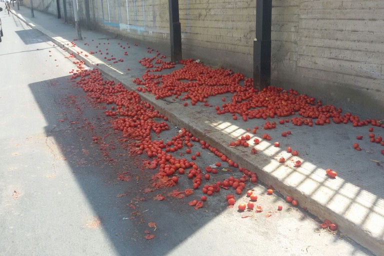 pomodori su viale Dalamazia