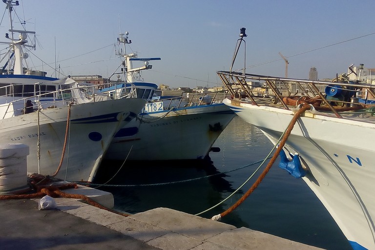 pescherecci porto di Bisceglie. <span>Foto Vincenzo Cassano</span>