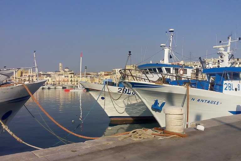 pescherecci porto di Bisceglie. <span>Foto Vincenzo Cassano</span>