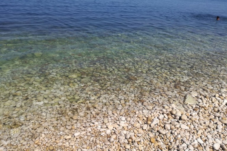 mucillagine mare di Bisceglie