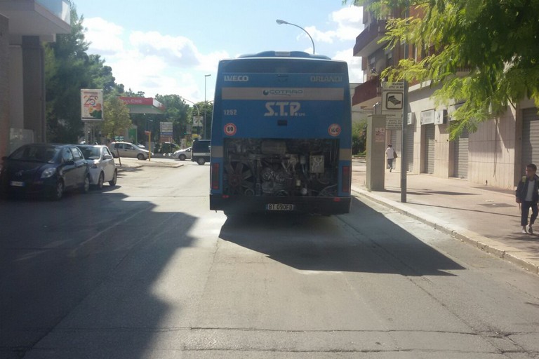 autobus della STP