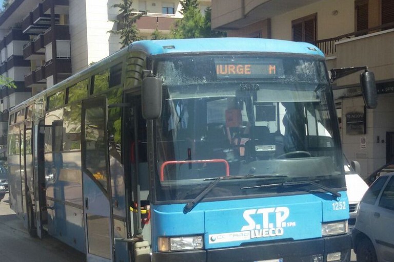 Pulman di linea