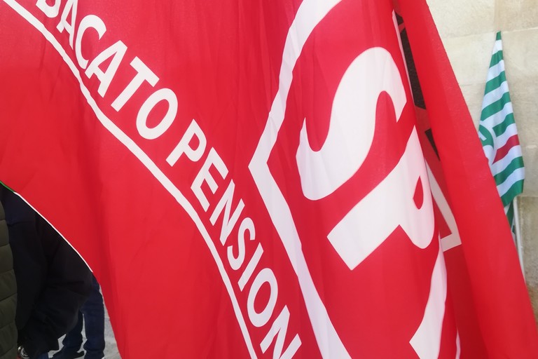 Bandiera Spi Cgil