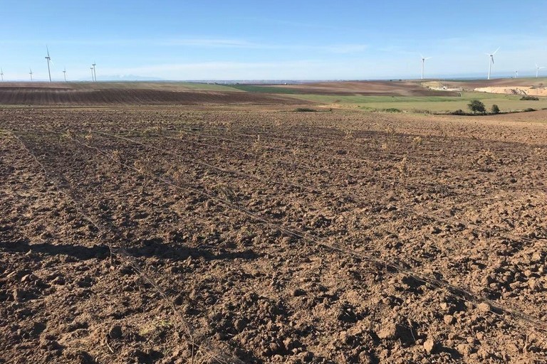 agricoltura