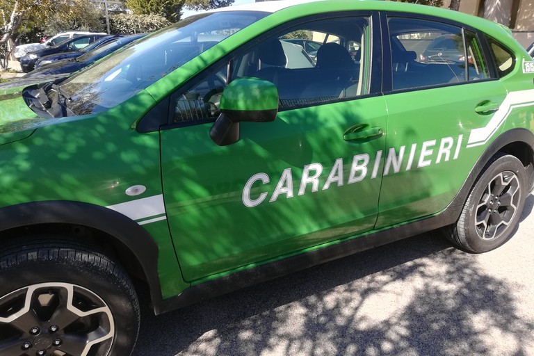 carabinieri forestali. <span>Foto Vincenzo Cassano</span>