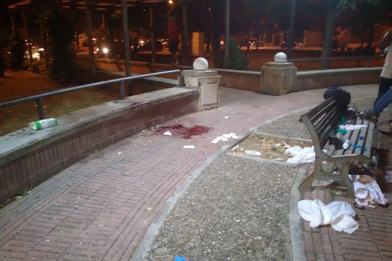 rissa al parco comunale