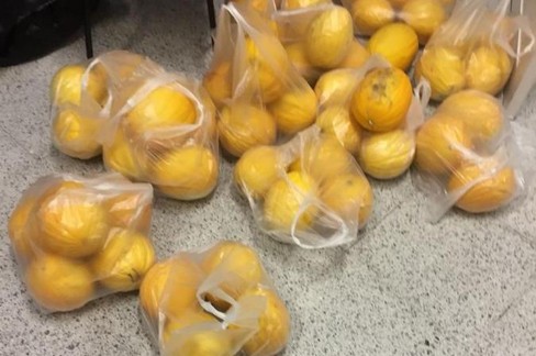frutta sequestrata