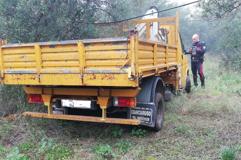 camion rubato