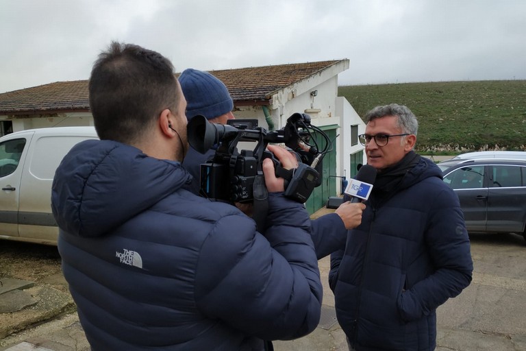 Cesareo Troia