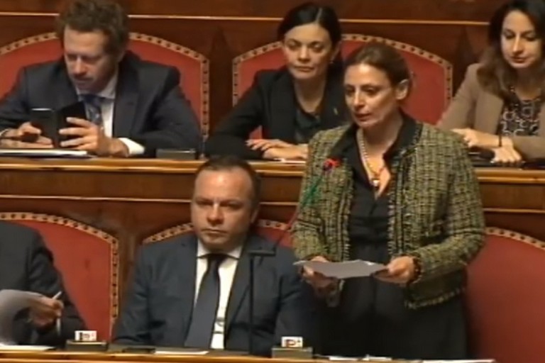 Sen. Angela Bruna Piarulli