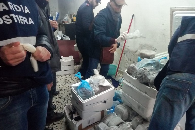 sequestro di pesce da parte della Guardia Costiera