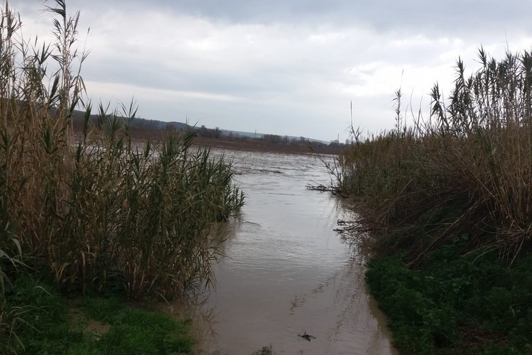allagamenti per le piogge persistenti