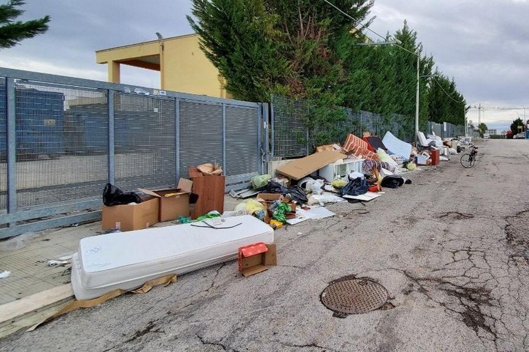 Isola ecologica