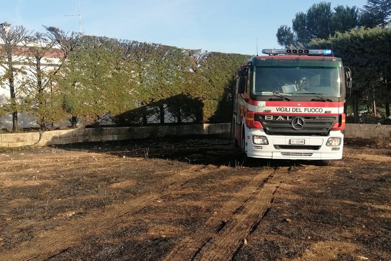 Vigili del Fuoco spengono incendio di sterpaglie
