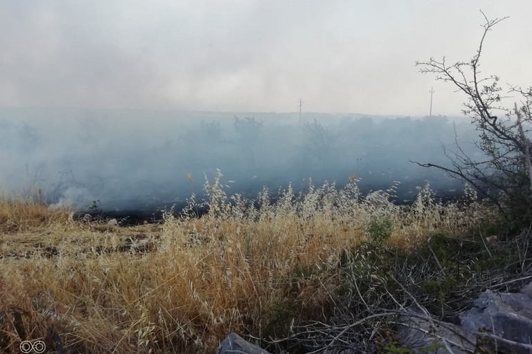 Incendio boschetto Sant'Agostino
