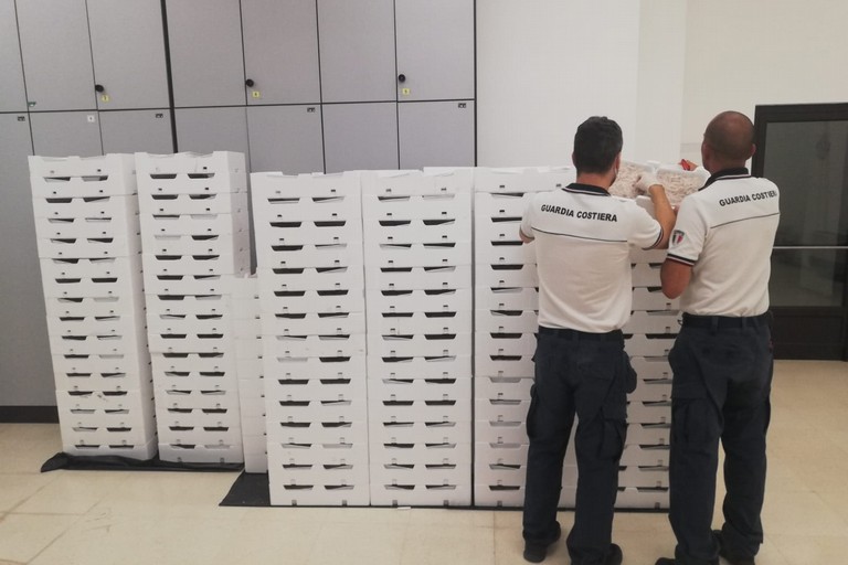 guardia costiera