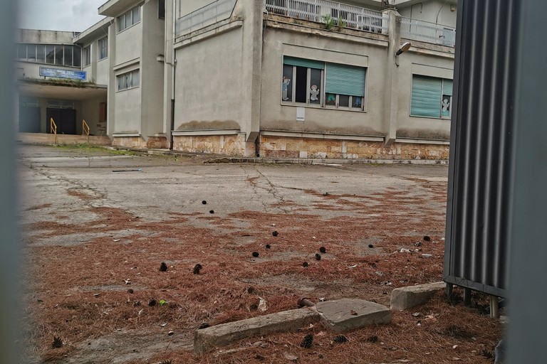 Scuola Jannuzzi ad Andria