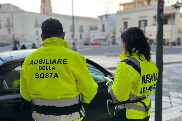 Ausiliari sosta a pagamento