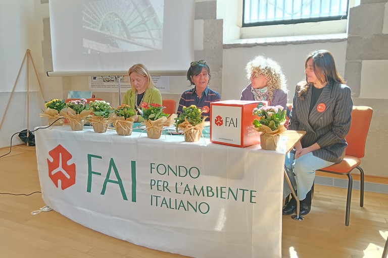 Conferenza stampa Fai