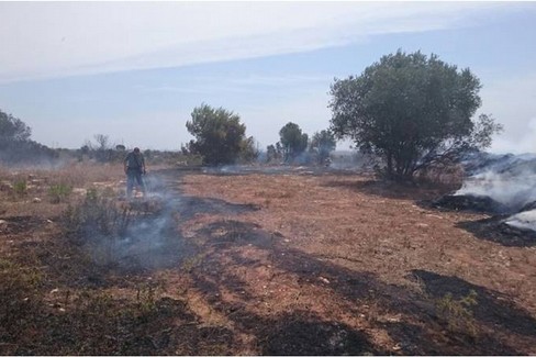 incendio boschivo