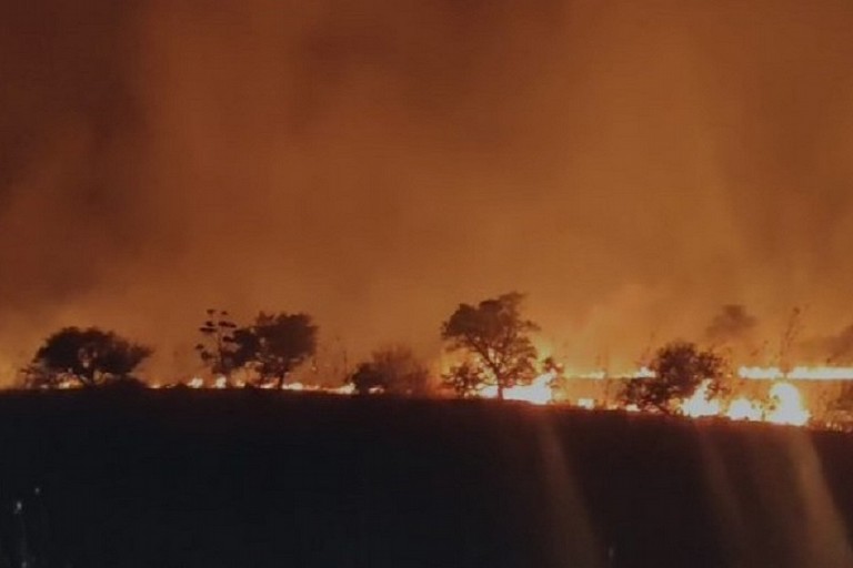incendio sulla Murgia andriese