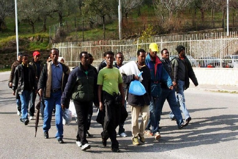 immigrati
