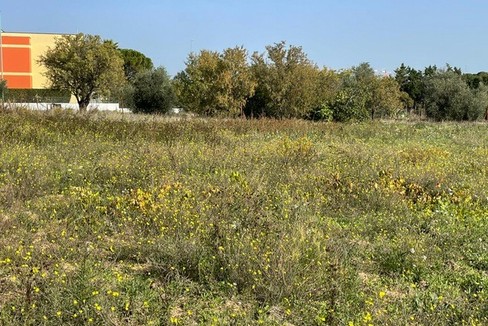 agricoltura