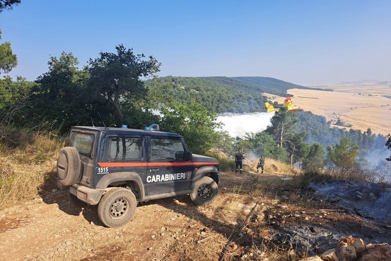 Vasto incendio sulla Murgia di Andria