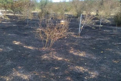 incendio ad Andria