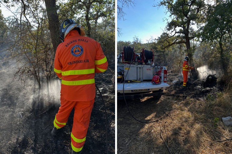 Incendio boschivo