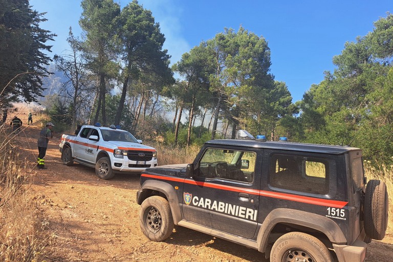 Vasto incendio sulla Murgia di Andria